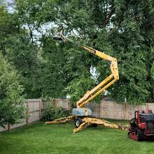 Best Grass Overseeding  in Mastic Beach, NY